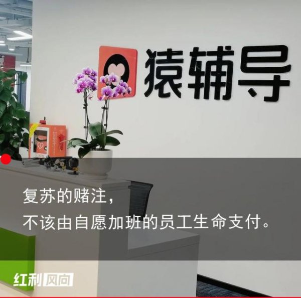 配资优秀股票配资平台 谁是压倒猿辅导员工的最后一根稻草