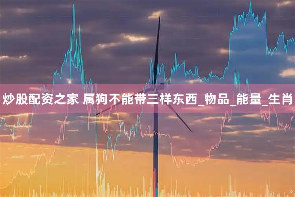 炒股配资之家 属狗不能带三样东西_物品_能量_生肖