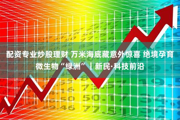 配资专业炒股理财 万米海底藏意外惊喜 绝境孕育微生物“绿洲”｜新民·科技前沿